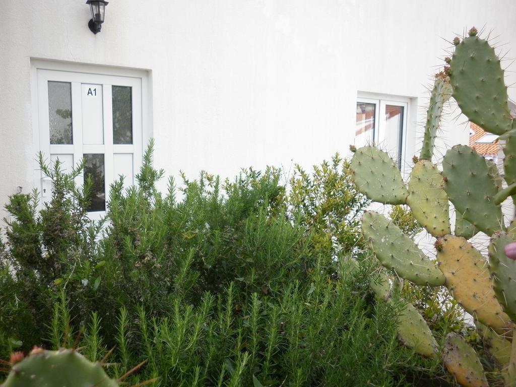 Hvar Krizna Luka Appartement Hvar Town
